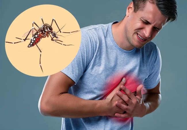 ডেঙ্গুতে আরো ৫ জনের মৃত্যু