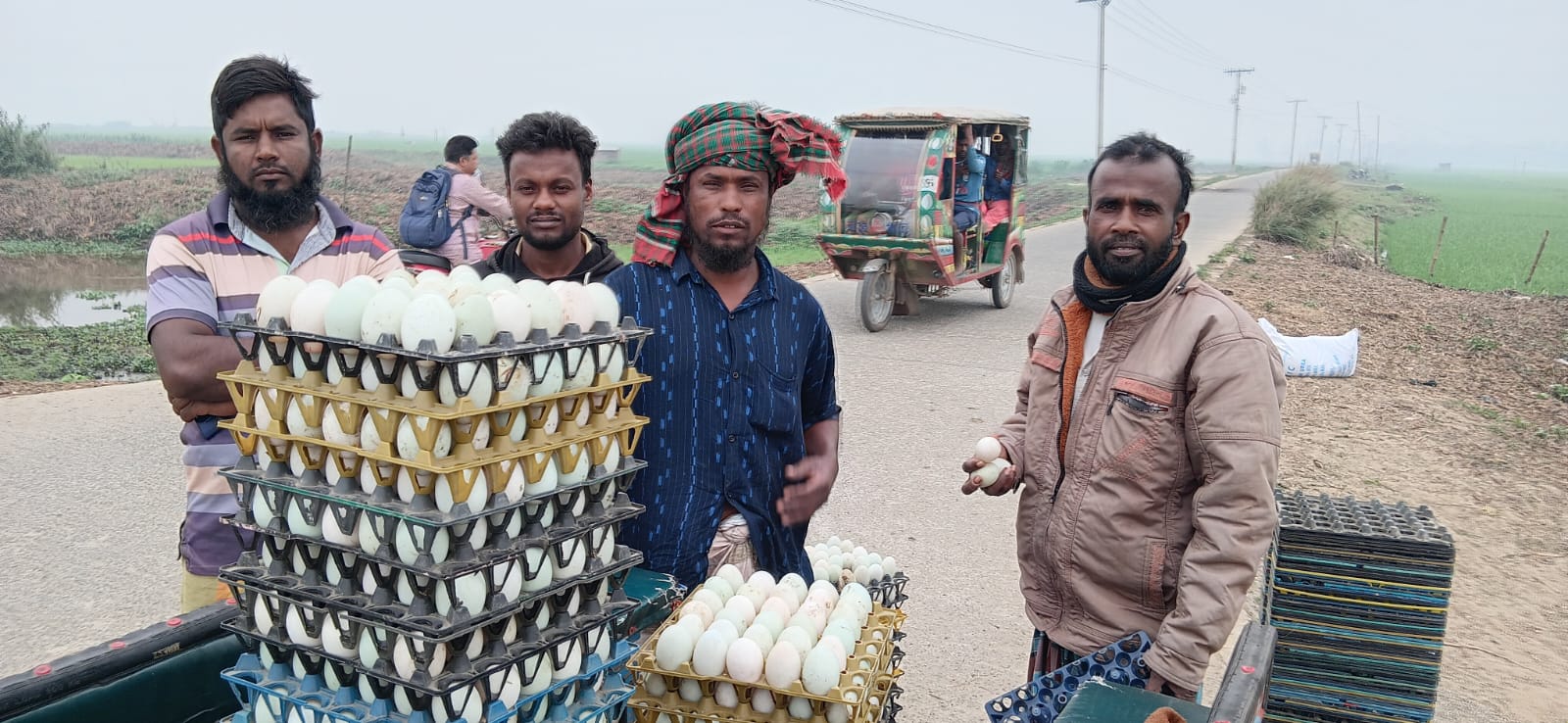 দাম অর্ধেকে নেমেছে হাঁসের ডিম, বিপাকে সিংড়ার খামারিরা