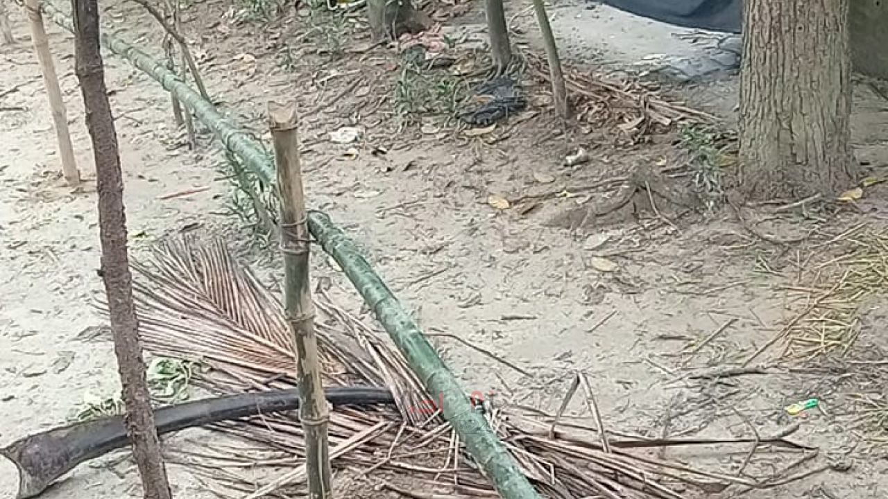নরসিংদীর বেলাবতে গাছ কেটে ঘরবাড়িতে হামলার অভিযোগ