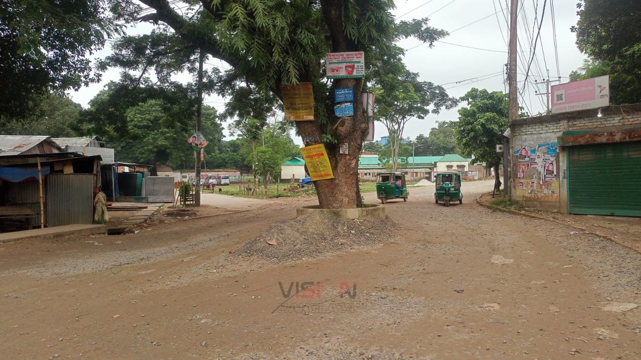 দোকানের পেটে সওজের মাইলফলক, অরক্ষিত বড় গাছ