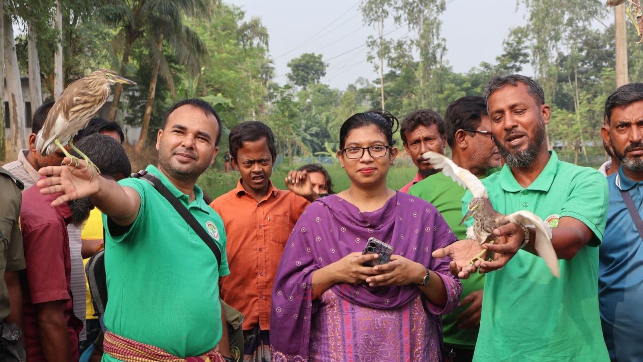 চলনবিলে ৫০ বক উদ্ধার, ৩ শিকারির জেল-জরিমানা