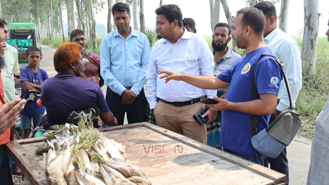 সিংড়ায় জবাই করা ৫০ বক উদ্ধার, ৫ জনকে জেল-জরিমানা