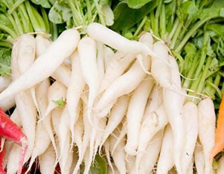 মূলার স্বাস্থ্য উপকারিতা