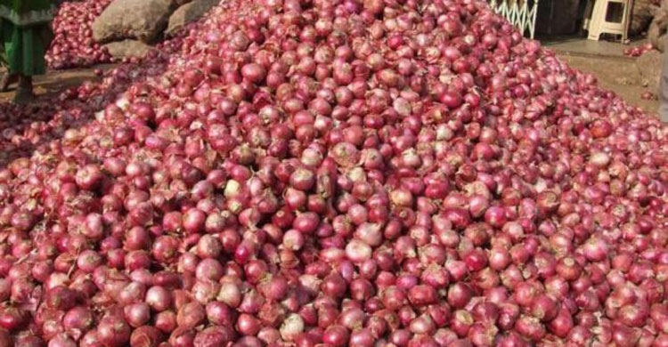 ৫ মাসে পেঁয়াজ ব্যবসায়ীদের পকেটে ৮’শ কোটি টাকা