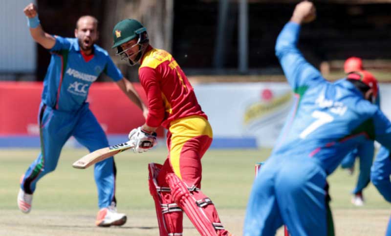 আফগানিস্তানের কাছে পাত্তাই পেল না জিম্বাবুয়ে