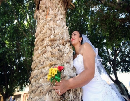 পরিবেশ রক্ষায় গাছকে বিয়ে