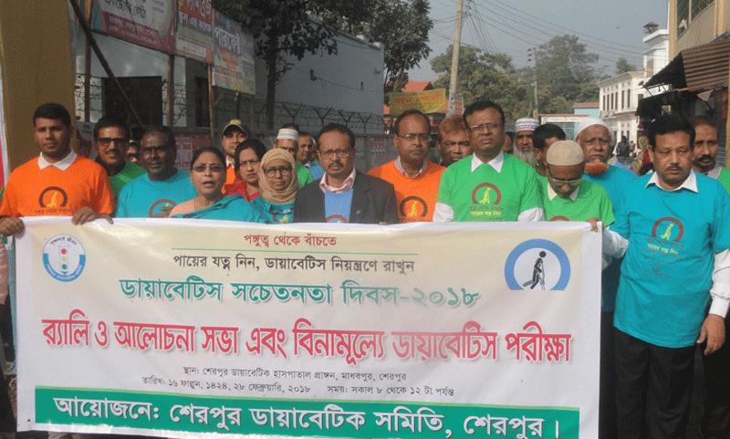 শেরপুরে ডায়াবেটিস সচেতনতা দিবসে শোভাযাত্রা