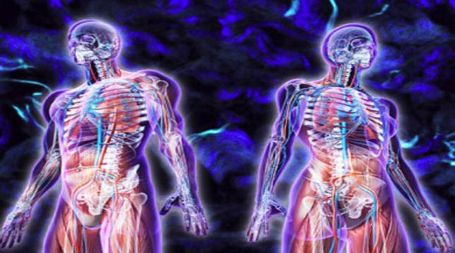 মানবদেহে নতুন অঙ্গের সন্ধান পেলেন বিজ্ঞানীরা!