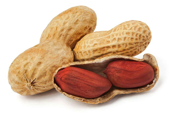 খালি পেটে ভিজানো বাদাম ধরে রাখবে যৌবন