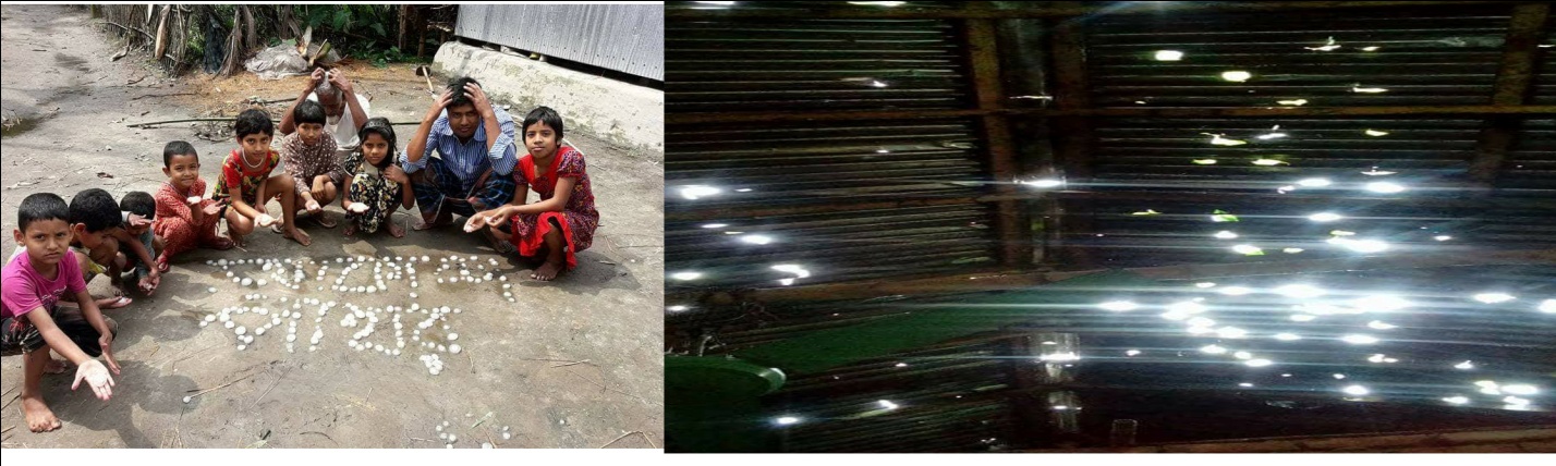 ডিমলায় শিলাবৃষ্টিতে ফসলি জমিসহ ঘর-বাড়ি ও গাছপালার ব্যাপক ক্ষতি