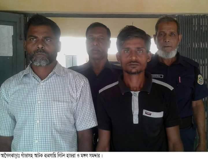 আগৈলঝাড়ায় গাঁজাসহ দুই ব্যবসায়ী গ্রেফতার