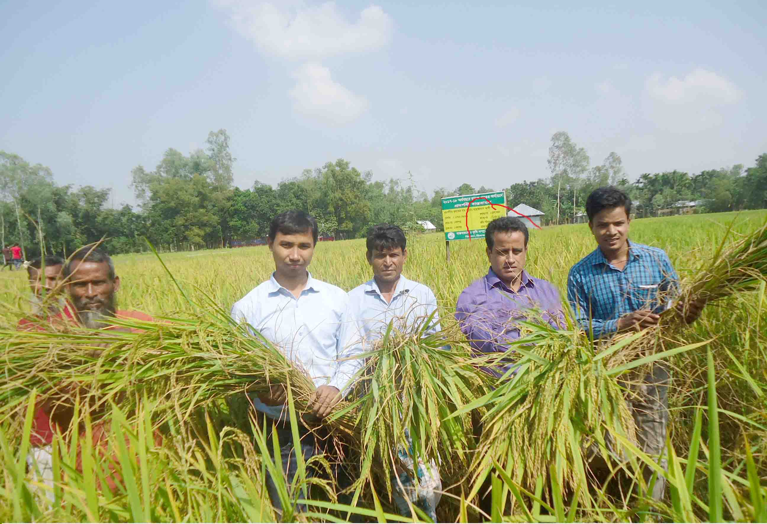 ডিমলায় ব্রি ধান-৭২ প্রদশর্নীর কৃষক মাঠ দিবস অনুষ্ঠিত