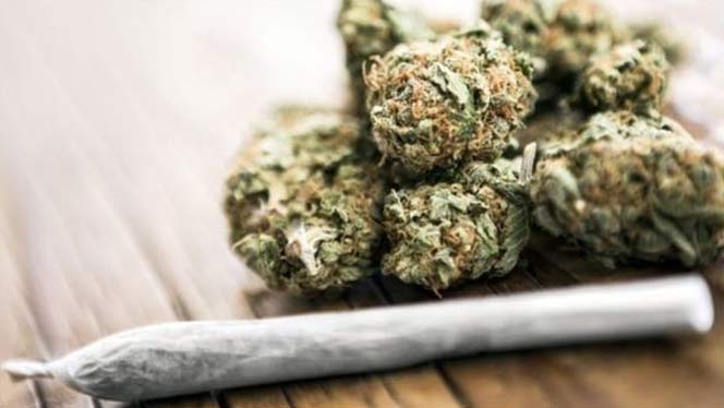 কিশোরদের মস্তিষ্কের জন্য গাঁজা ক্ষতিকর: গবেষণার ফলাফল