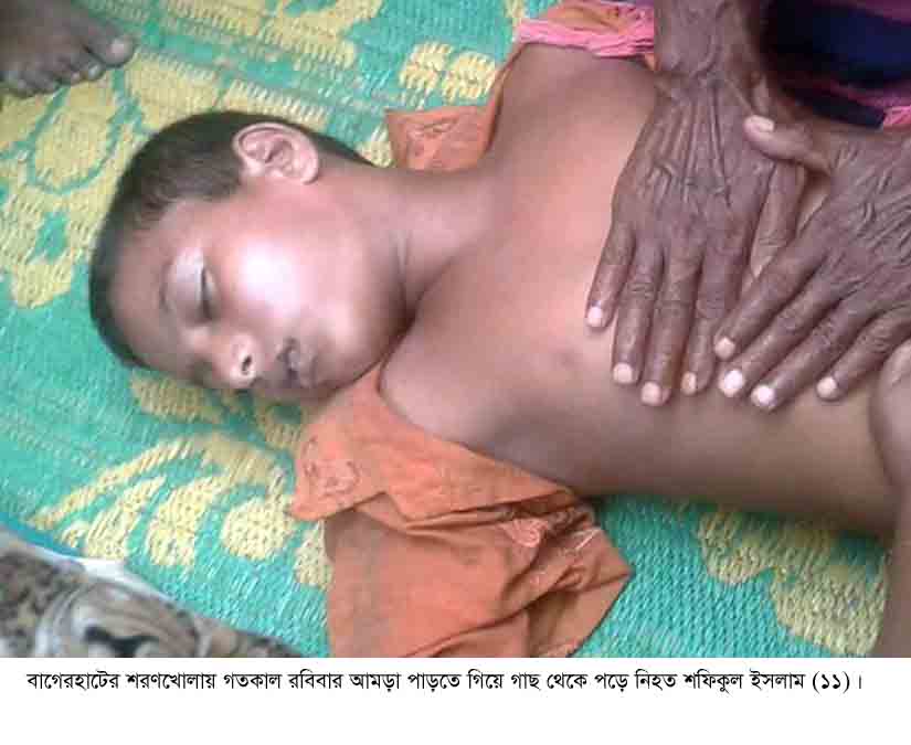 শরণখোলায় গাছ থেকে পড়ে মাদরাসা ছাত্রের মৃত্যু