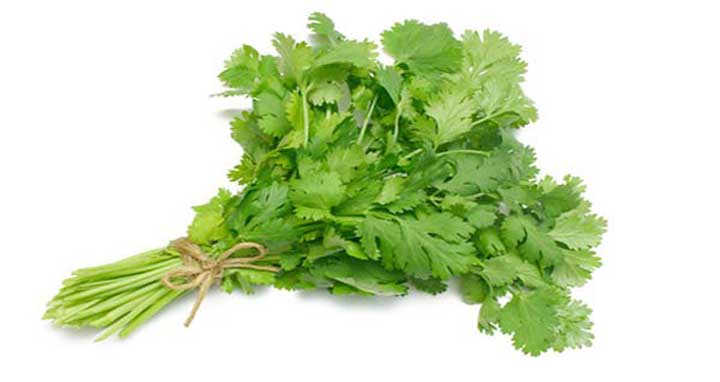 ধনেপাতার স্বাস্থ্য উপকারিতা