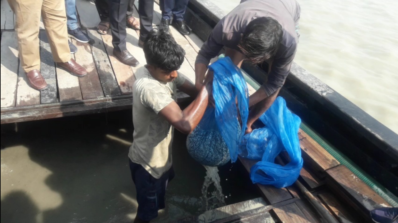 সুন্দরবনের নদ-নদীতে কারেন্টজাল ও মাছের পোনাসহ ৫ জেলে আটকঃ অর্থ জরিমানা