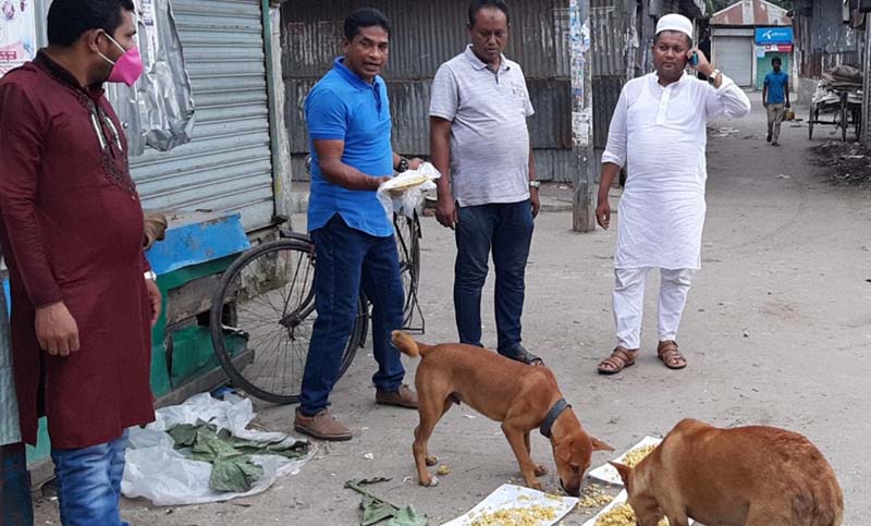 ভোলার চরফ্যাশন ও মনপুরায় অভূক্ত কুকুর বাচাঁনোর উদ্যোগ এমপি জ্যাকবের