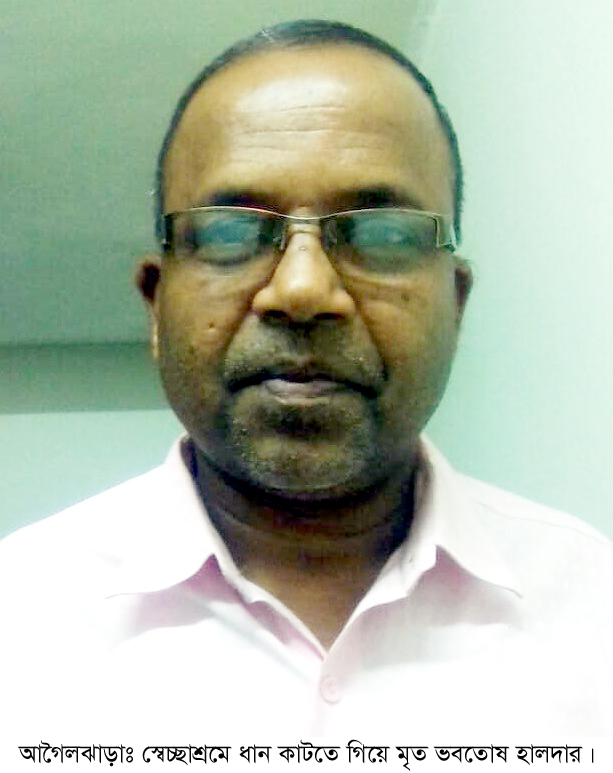 আগৈলঝাড়ায় স্বেচ্ছাশ্রমে ধান কাটতে গিয়ে এক জনের মৃত্যু