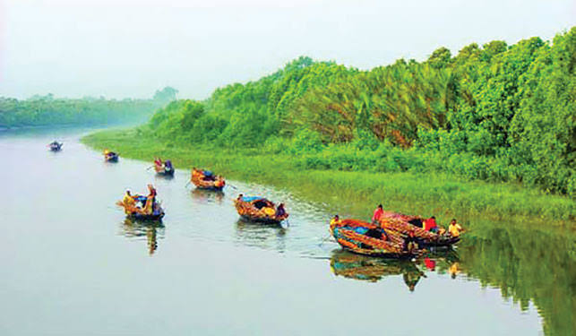 সুন্দরবনের জেলে ও বনরক্ষীরা জড়িয়ে পড়েছে পরস্পর বিরোধী মামলায়