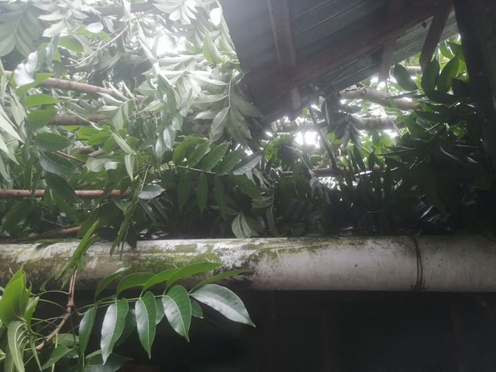 আম্ফানের তাণ্ডবে মৃতের সংখ্যা বেড়ে ১৩