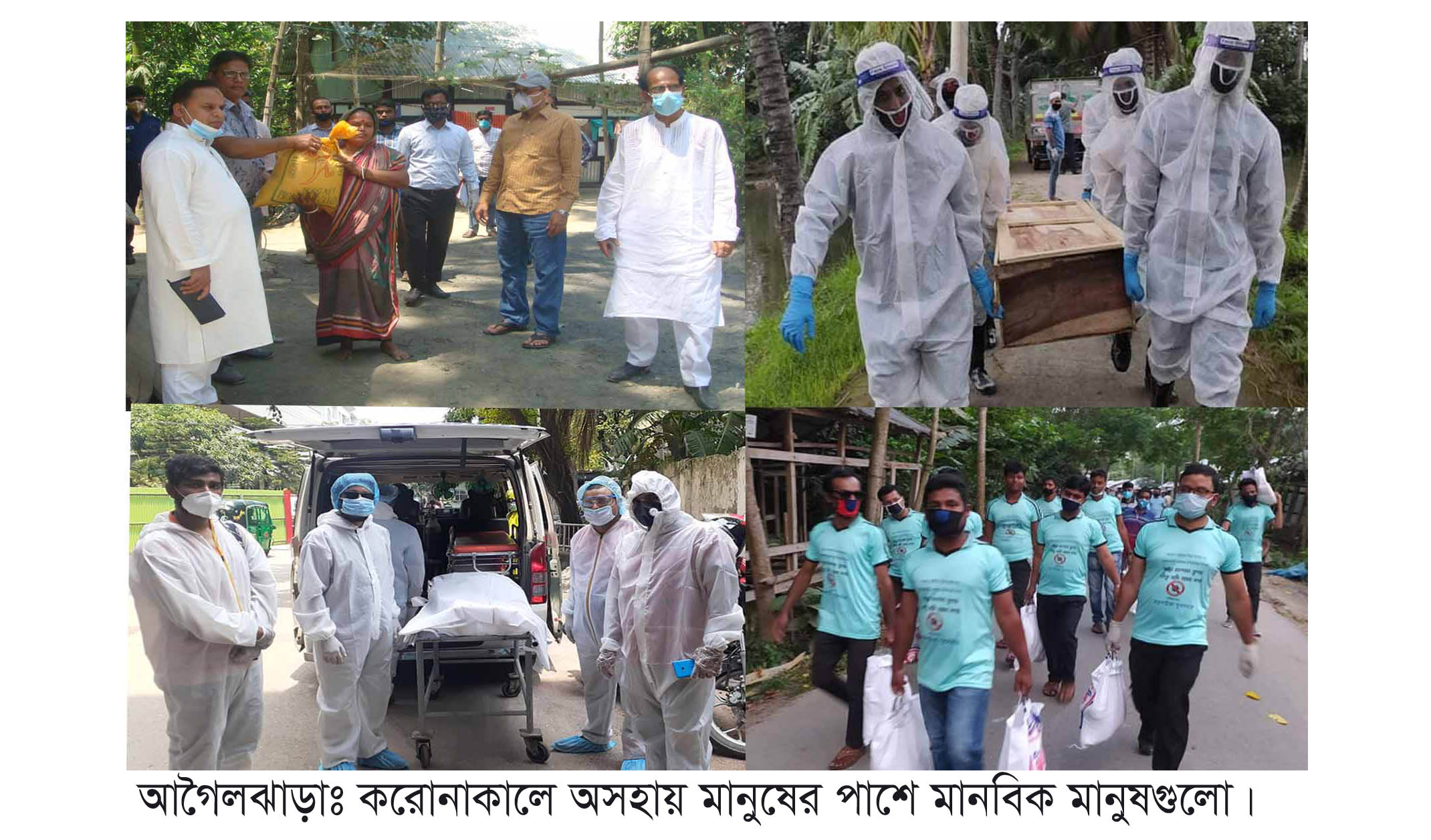 বাঘ-সিংহরা দাড়িয়ে! টুনটুনিরা থামেনি