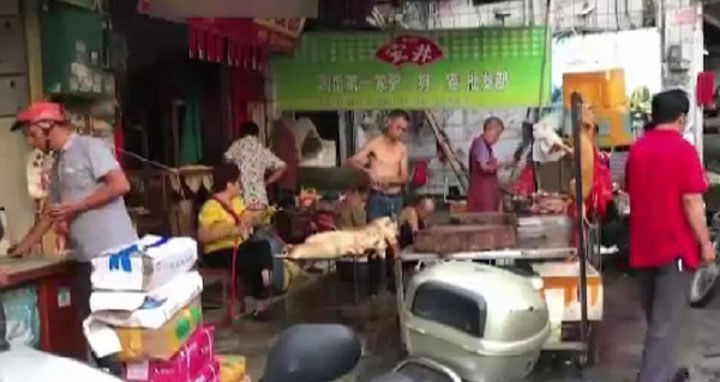 চীনে চলছে কুকুরের মাংস খাওয়ার মেলা