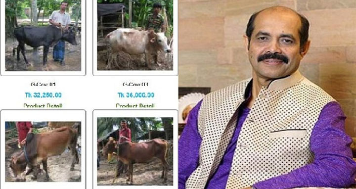 হাসিল থাকছে না অনলাইনে কেনা কোরবানির পশুর: মেয়র আতিক