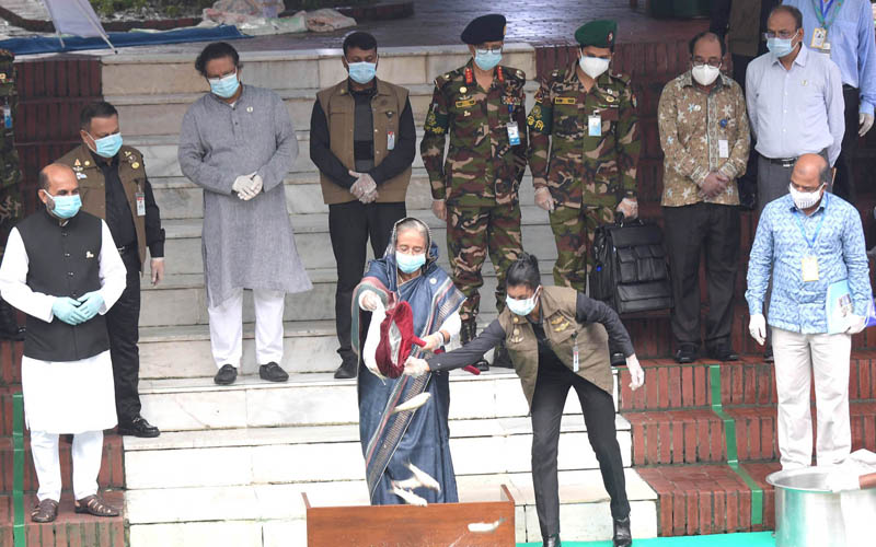 দেশীয় মাছ বিলুপ্তির হাত থেকে রক্ষা করুন : প্রধানমন্ত্রী