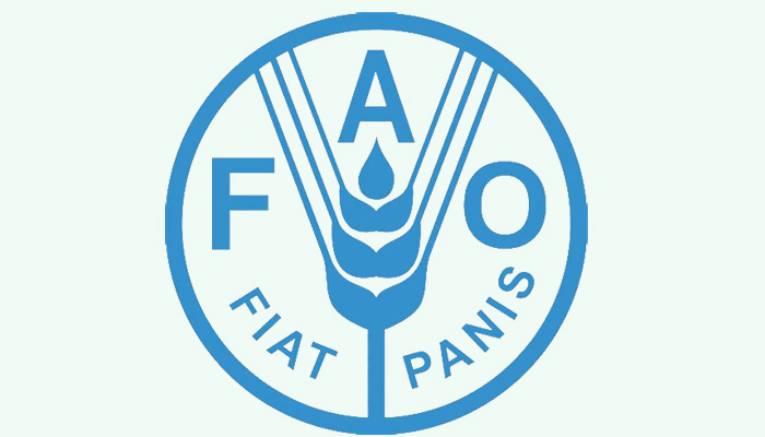 প্রতিবছর বিশ্বে নষ্ট হচ্ছে ১৩০ কোটি টন খাদ্য!