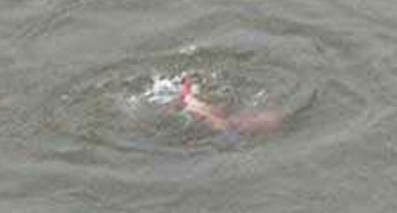 জামালপুরে পানিতে পড়ে ২ শিশুর মৃত্যু