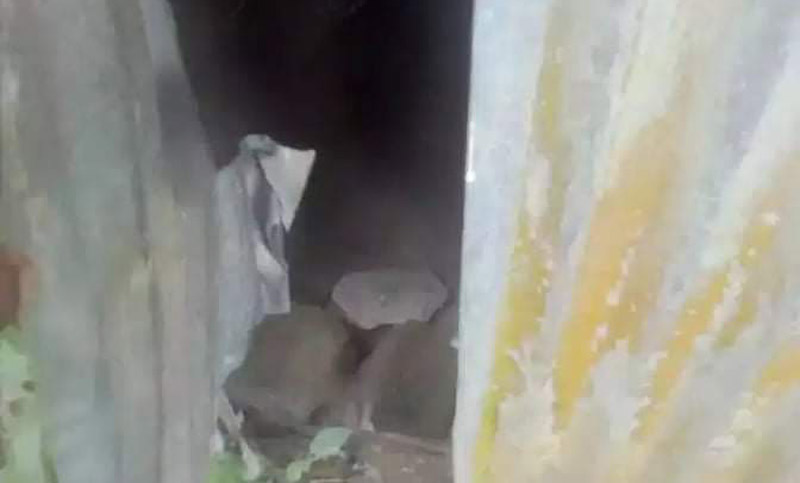 রাজবাড়ীতে নতুন স্বামীকে নিয়ে সাবেক স্বামীর বাড়িতে হামলা!