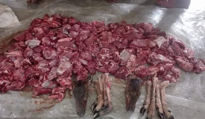 সুন্দরবনে মরাপশুর খাল থেকে হরিনের ৪২ কেজি মাংস উদ্ধার