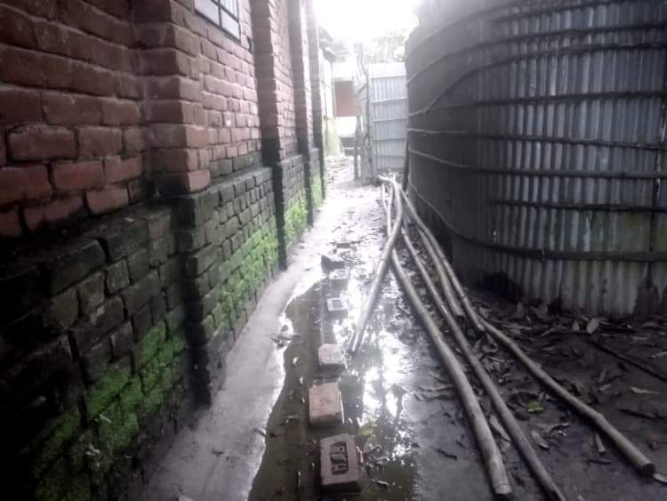 ঠাকুরগাঁওয়ে এক নারীর অত্যাচারে অতিষ্ঠ এলাকাবাসী