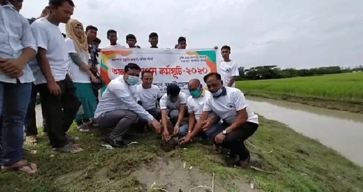 বঙ্গবন্ধুর জন্মশতবার্ষিকী উপলক্ষে মনপুরা উপকূলে তালের বীজ বপন উদ্বোধন