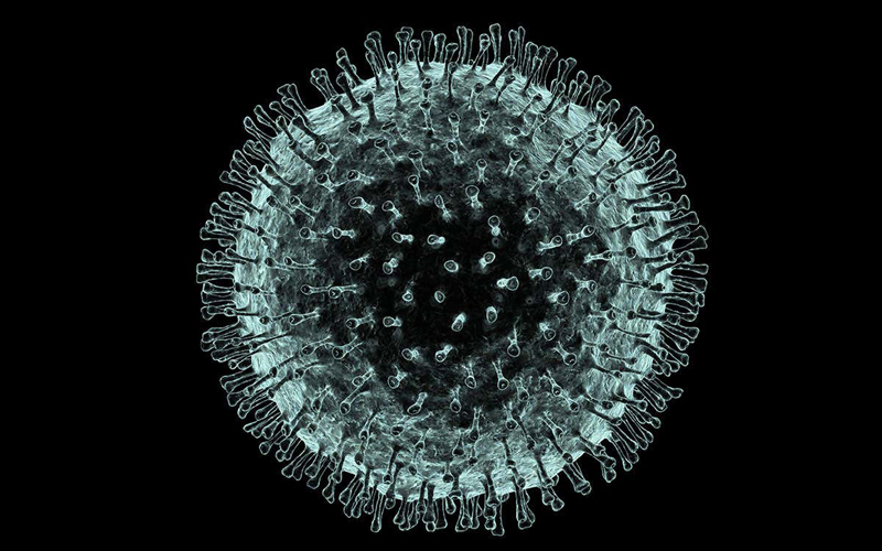 মৃত্যু ২৮, শনাক্ত ১৫৪০