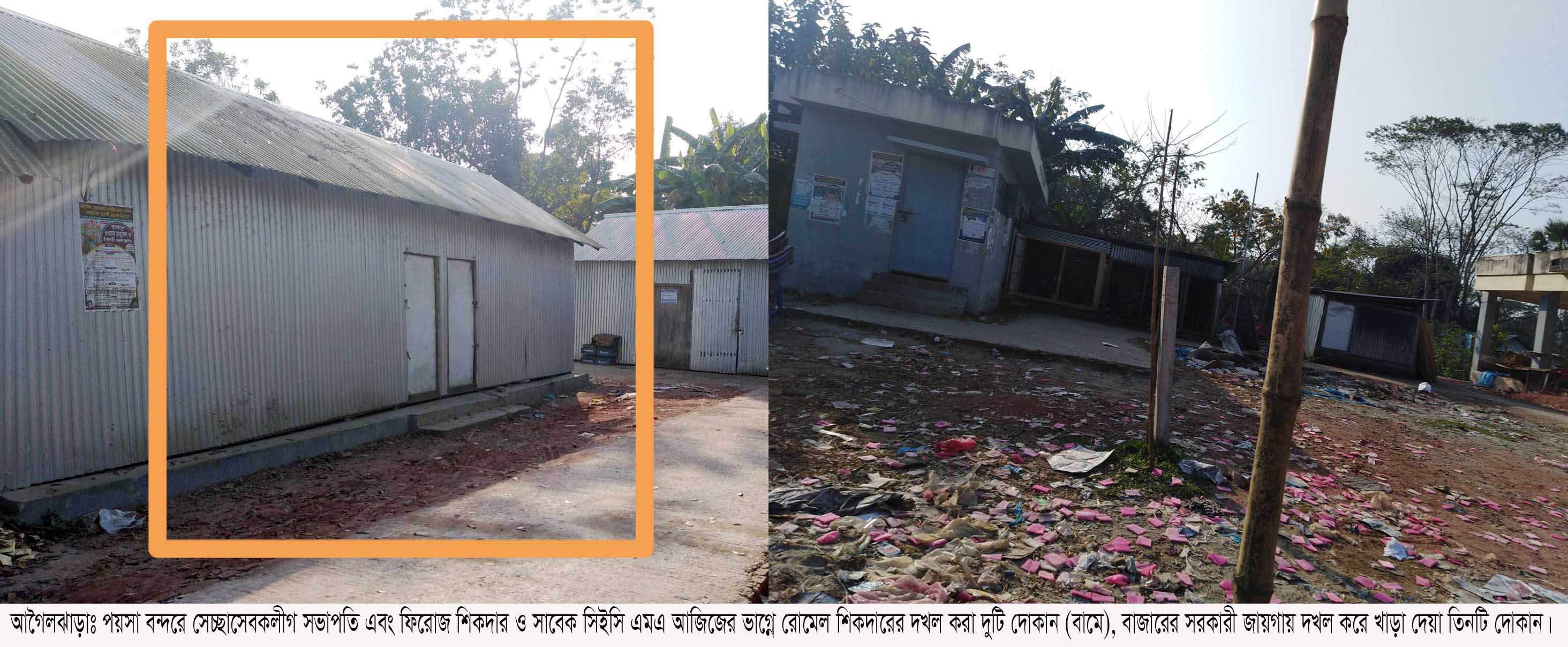 আগৈলঝাড়ায় স্বেচ্ছাসেবক লীগের সভাপতির বিরুদ্ধে সরকারী গাছ কাটার অভিযোগ