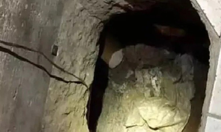 মিঠাপুকুরে সুড়ঙ্গ খুড়ে ব্যাংক ডাকাতির চেষ্টা!