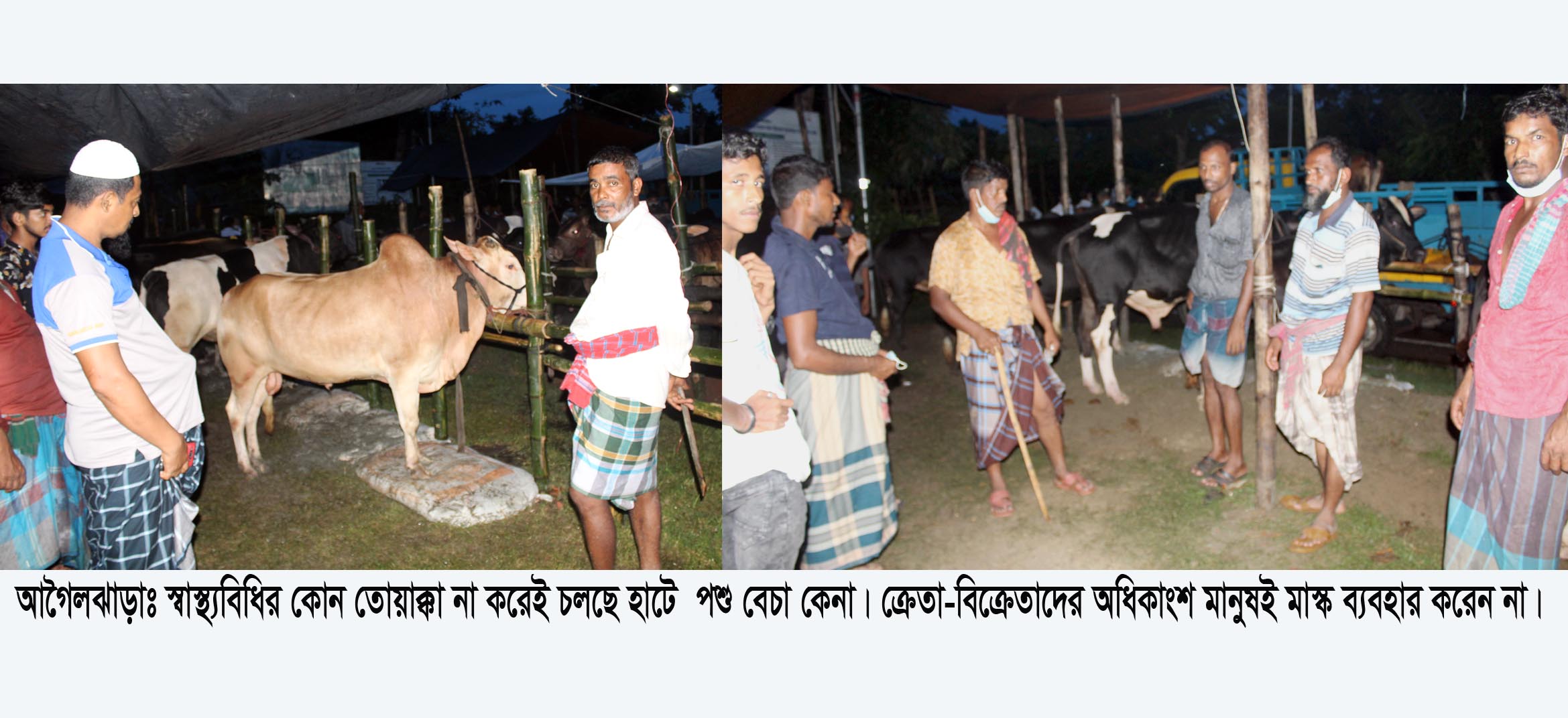 আগৈলঝাড়ায় দুই পশুর হাটে নামেই ৪৬ শর্ত,  চলছে বিধি ভাঙ্গার খেলা