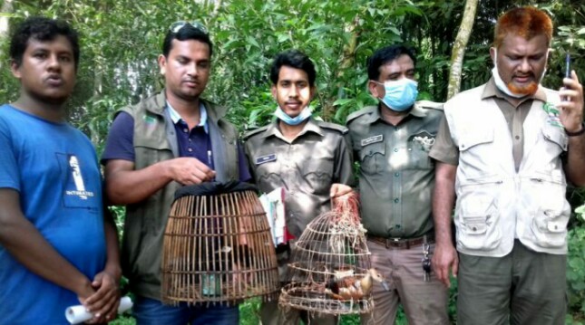 মাধবপুরে বন্যপাখী উদ্ধারে চিরুনী অভিযান