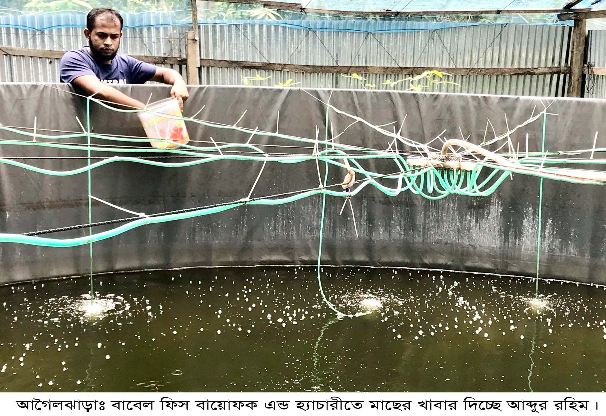 আগৈলঝাড়ায় বাবেল ফিস বায়োফক এন্ড হ্যাচারীতে মাছ চাষে  আব্দুর রহিম এখন বেকারদের পথ প্রদর্শক