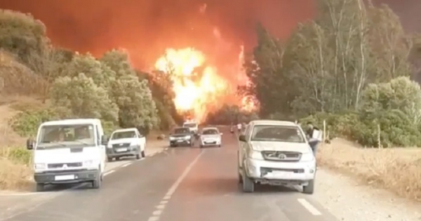 আলজেরিয়ায় ভয়াবহ দাবানলে ২৫ সেনাসহ ৪২ জনের মৃত্যু