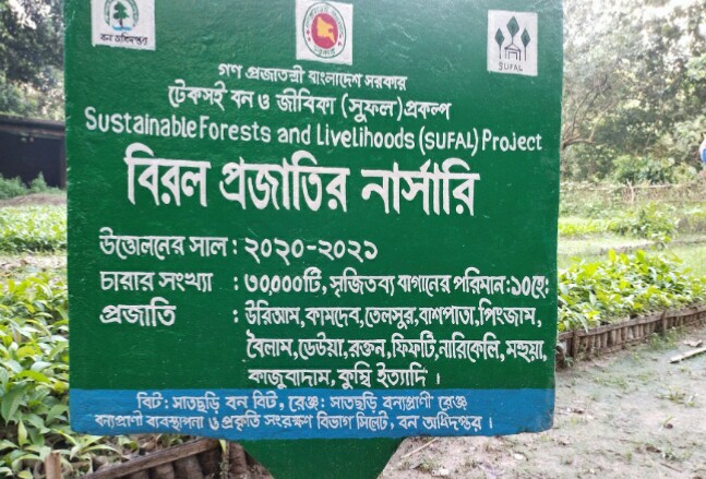 তেলমাছড়া ও সাতছড়ী নার্সারিতে চারা উৎপাদন আড়াই লাখ, রোপণের লক্ষমাত্রা ১ লাখ ৯৫ হাজার