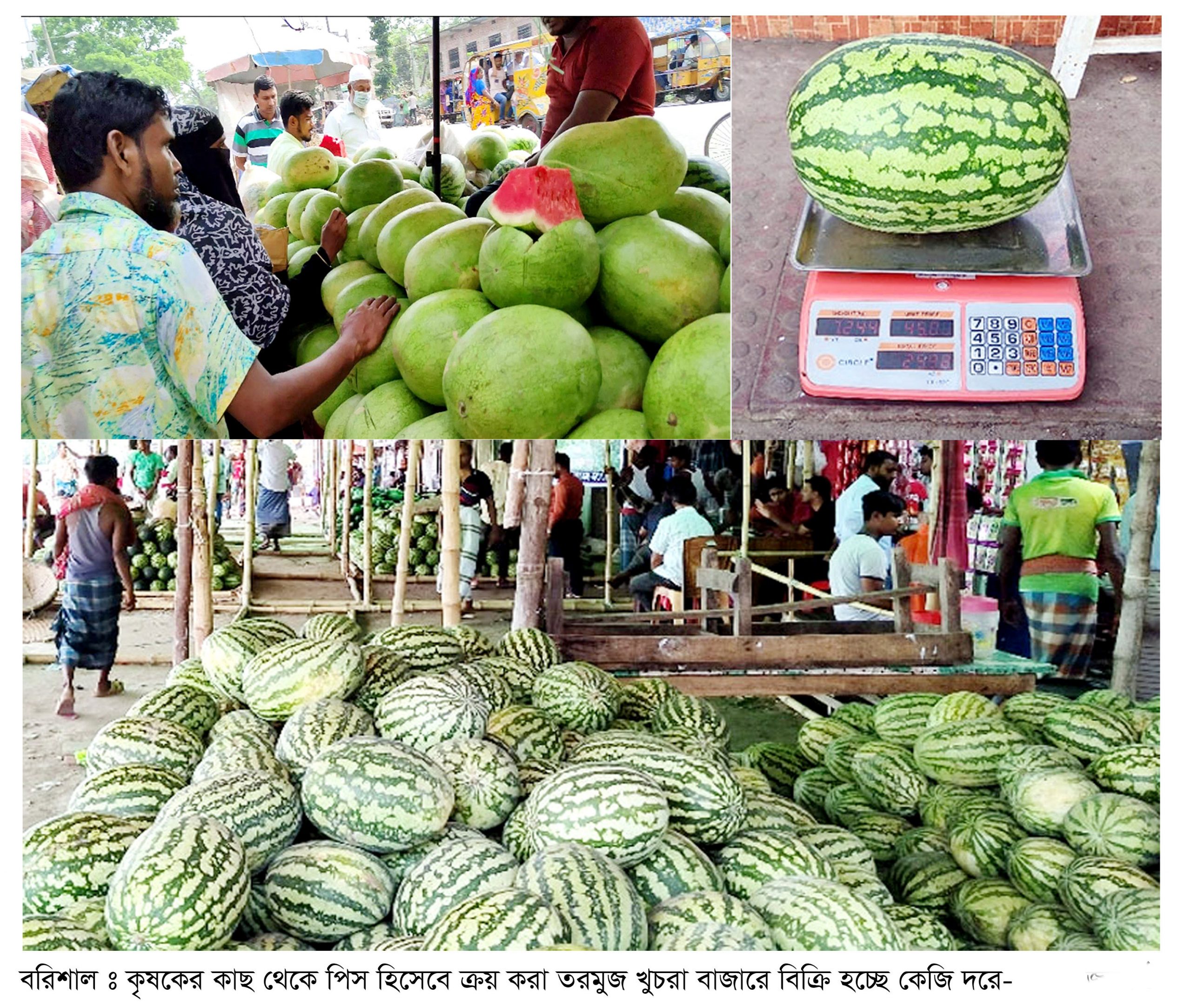 তরমুজ কেনা পিস হিসেবে, বিক্রি হচ্ছে কেজিতে