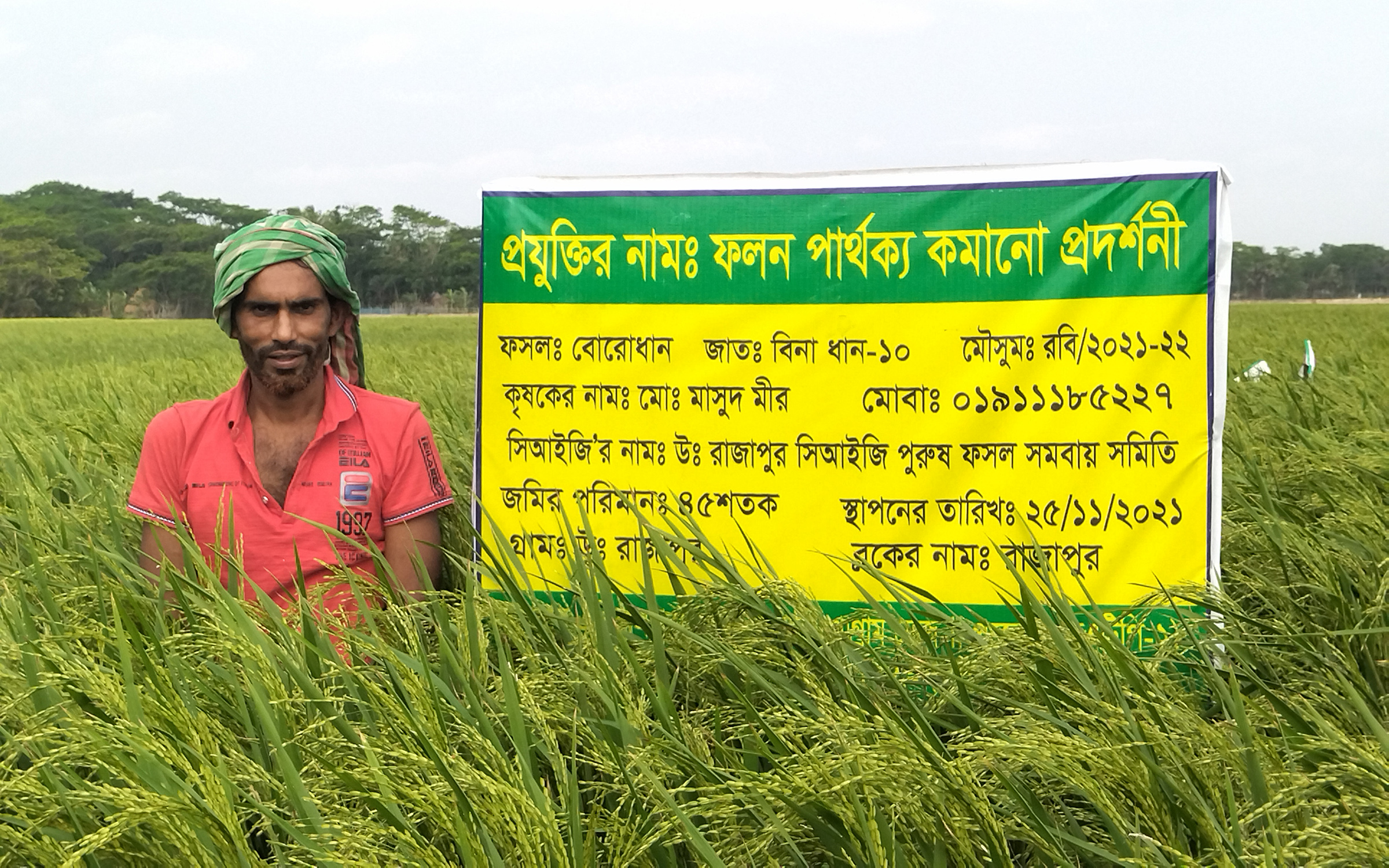 শরণখোলার পতিত জমিগুলো এখন সবুজের সমারোহ: চাষীদের মুখে হাসির ঝিলিক