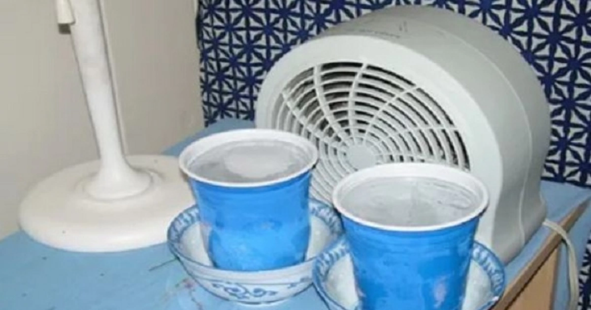 এই গরমে ৮ উপায়ে এসি ছাড়াই ঘর রাখুন শীতল!