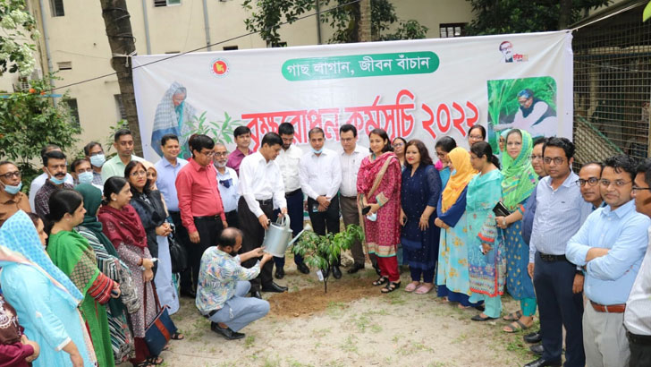 সিজিএ কার্যালয়ের প্রাঙ্গণে জাতীয় বৃক্ষরোপন কর্মসূচির উদ্বোধন