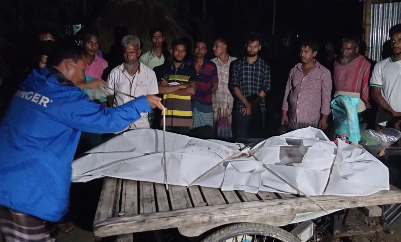 স্ত্রী, শাশুড়িসহ তিনজনকে কুপিয়ে হত্যা