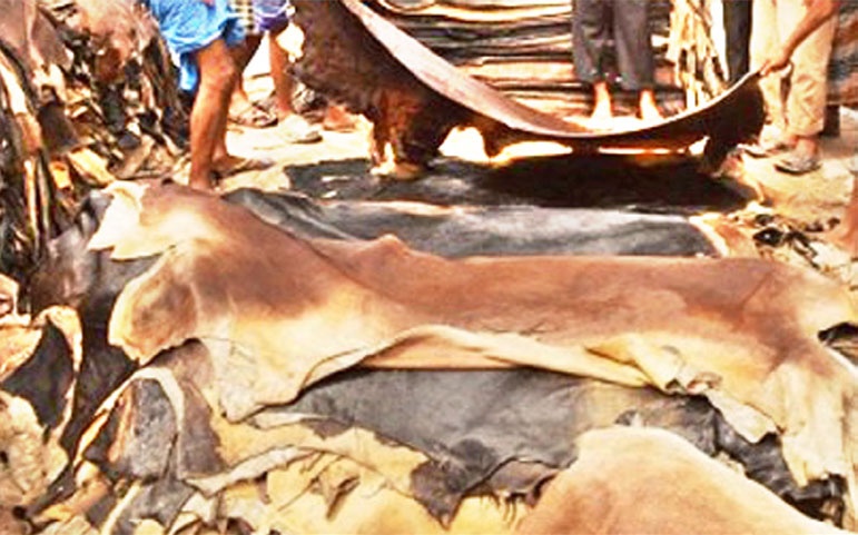 এবার বাড়ল চামড়ার দাম