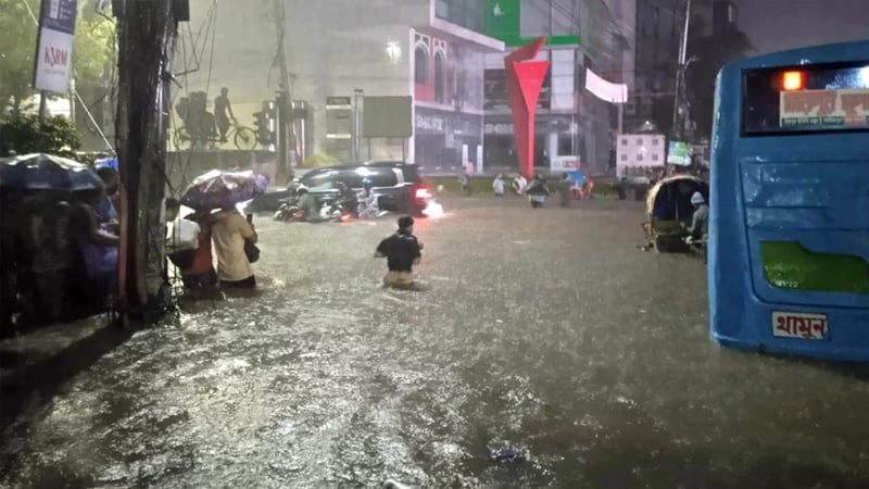 মিরপুরের যে ছবি দেখে আঁতকে উঠেছে মানুষ