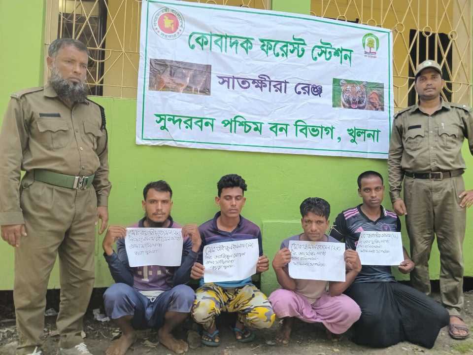 নিষেধাজ্ঞার মধ্যে সুন্দরবনে মাছ শিকার, ৪ জেলে আটক